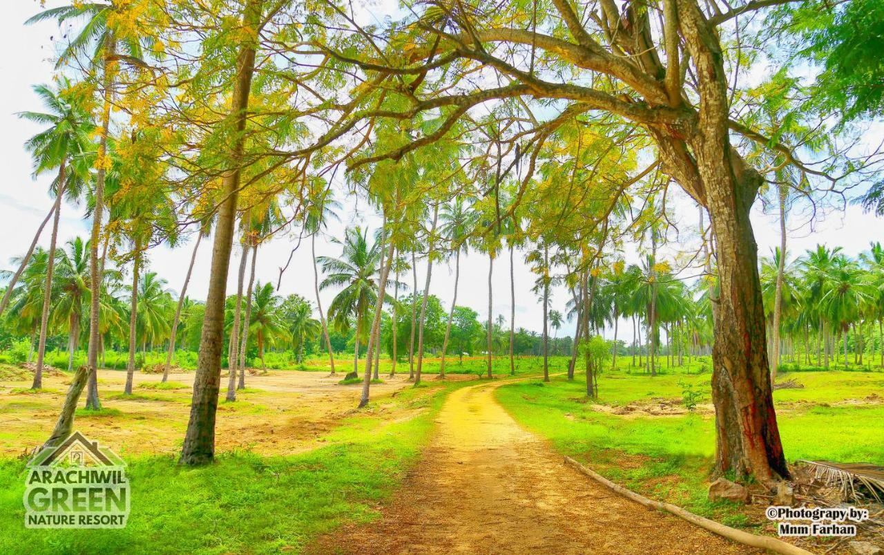 Arachiwil Green Nature Resort Puttalam Eksteriør bilde