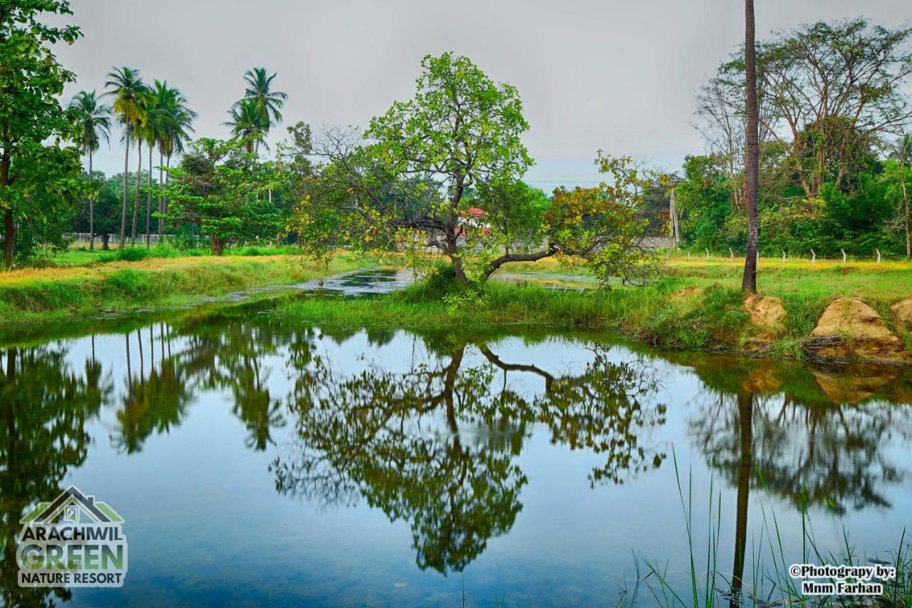 Arachiwil Green Nature Resort Puttalam Eksteriør bilde