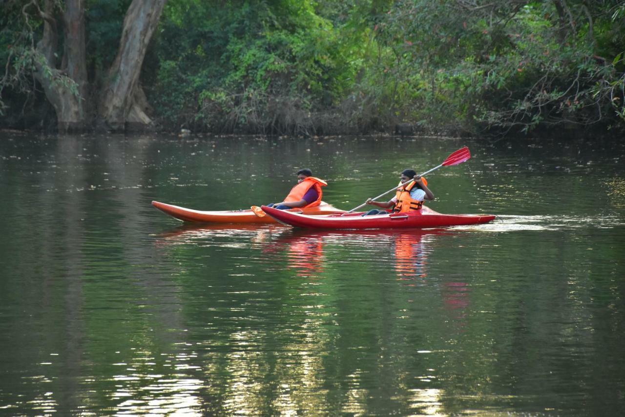 Arachiwil Green Nature Resort Puttalam Eksteriør bilde