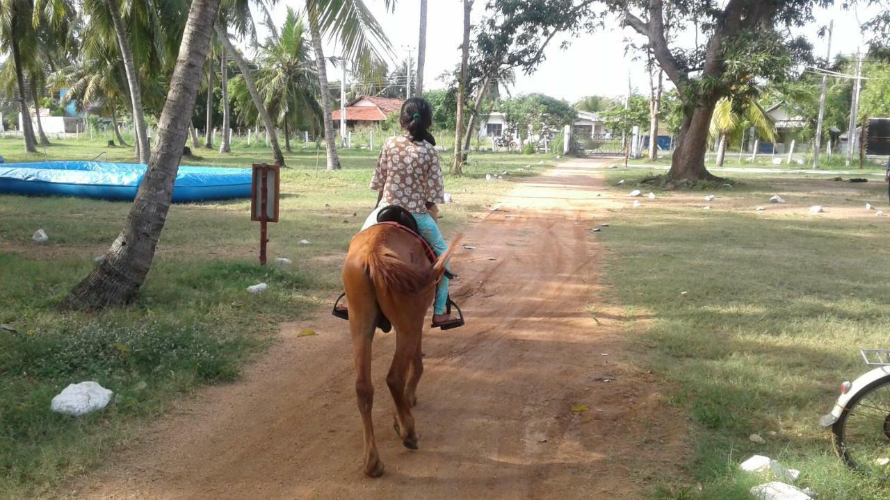 Arachiwil Green Nature Resort Puttalam Eksteriør bilde